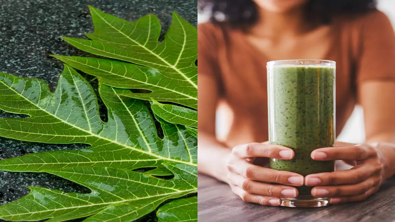 9 Health Benefits Of Papaya Leaf Juice, 9 Health Benefits Of Papaya Leaf Juice, INFINITY LOADED