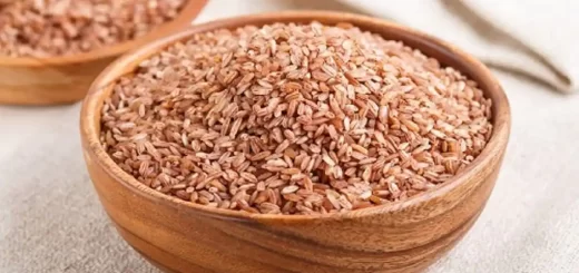 7 Health Benefits Of Brown Rice, 7 Health Benefits Of Brown Rice, INFINITY LOADED